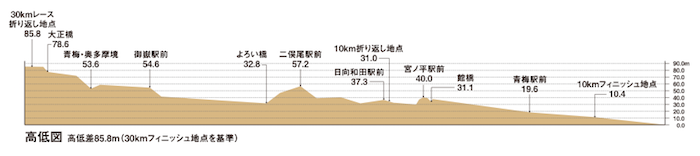青梅マラソン30km完走レポート 高低差あるけど楽しいコース マラソンダイエット中の私が綴るランニングブログ